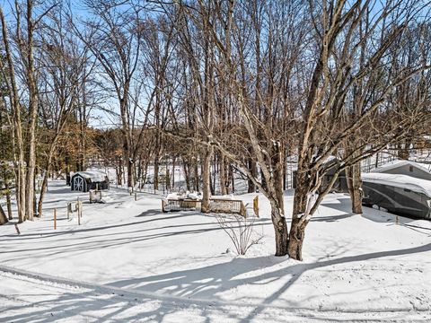 Photo of 6360 S Outer Loop Drive, Custer, MI 49405 (MLS # 26005710)