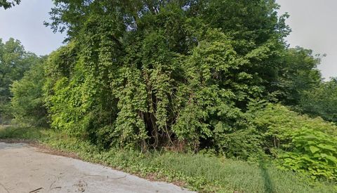 Photo of 710 S Oak Street, Buchanan, MI 49107 (MLS # 26013536)