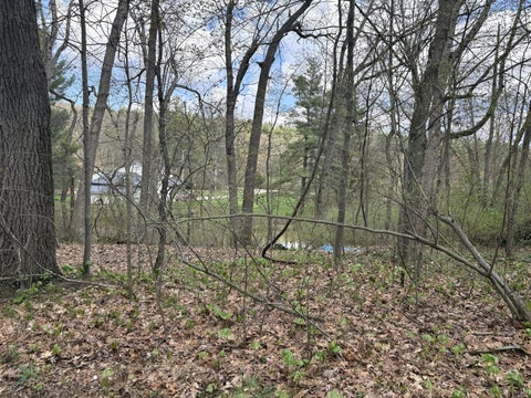 Photo for 8091 Poplar Drive