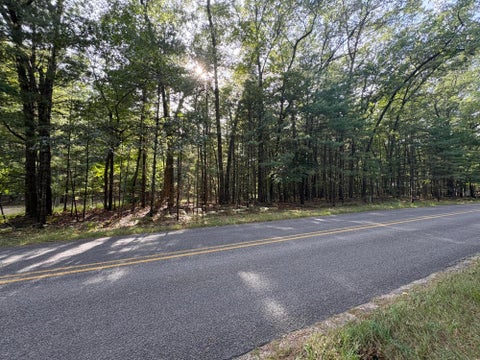 Photo of Lot 136 Wayne Avenue, Pentwater, MI 49449 (MLS # 26049131)