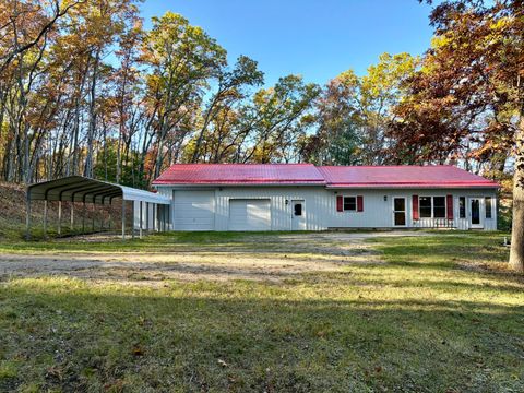 Photo of 11256 S Roby Lake Drive, Baldwin, MI 49304 (MLS # 25055171)