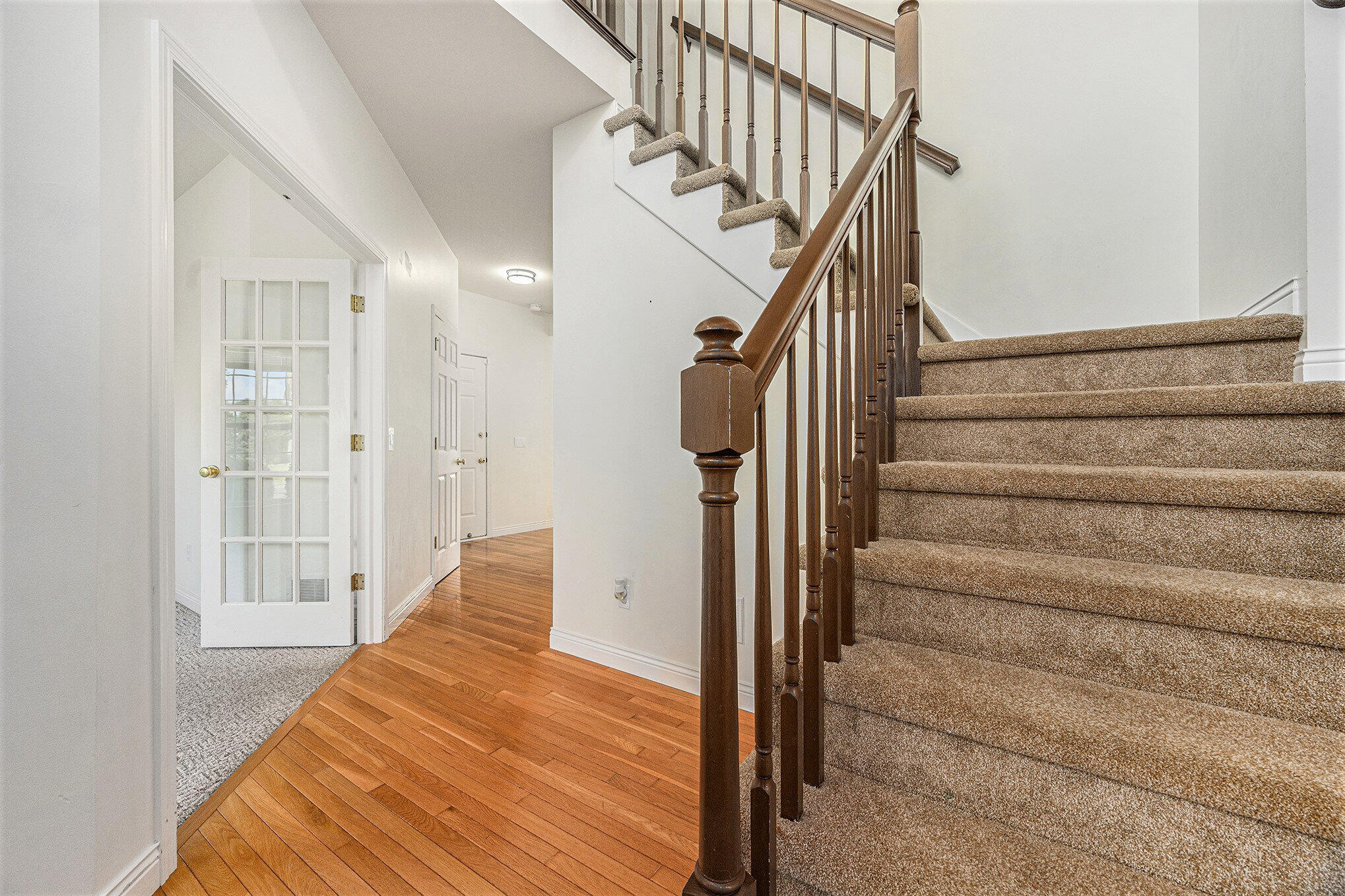 5443 Telluride Road