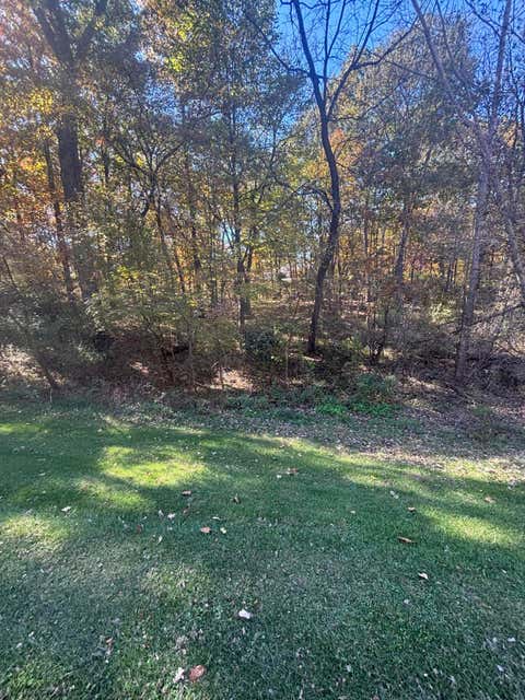 Photo for Strawberry Lake Vacant Lot Road
