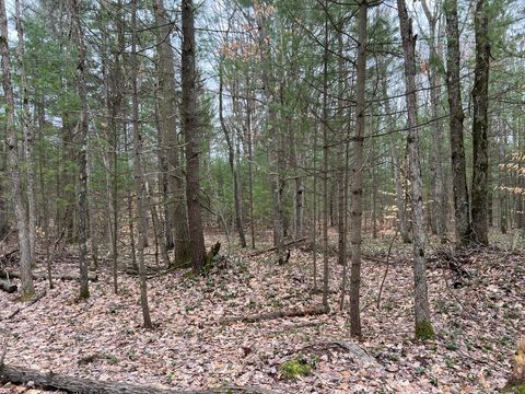 Photo of N Cherry Lane, Free Soil, MI 49411 (MLS # 25053077)