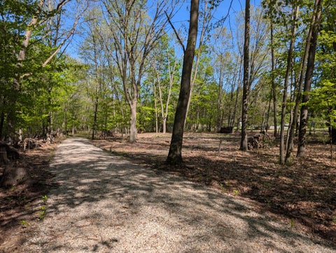 Photo for 8933 S East Torch Lake Drive