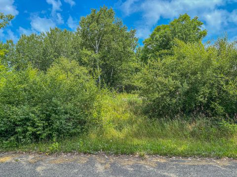 11580 Tanglewood Trail S. #24 Canadian Lakes MI 49346