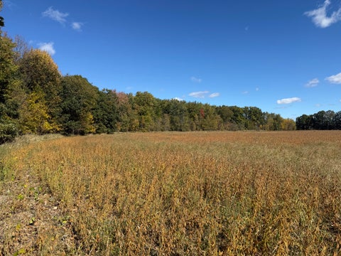 Photo for 2867 Capac Road