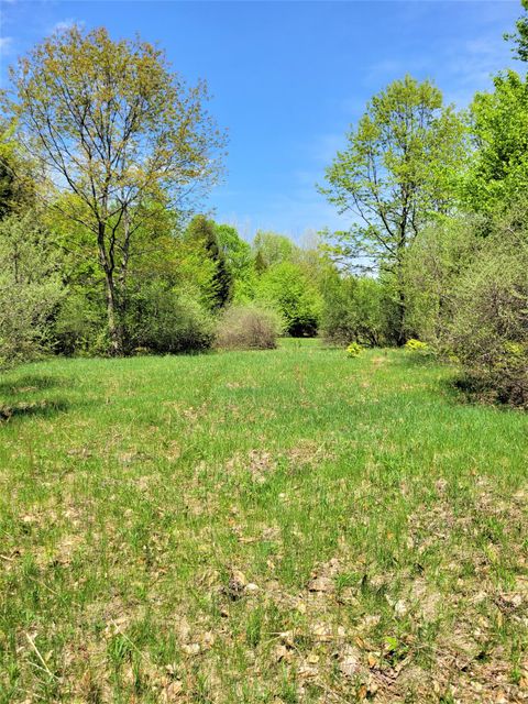 Photo of Smith Road #Lot 40, Onekama, MI 49675 (MLS # 25014416)