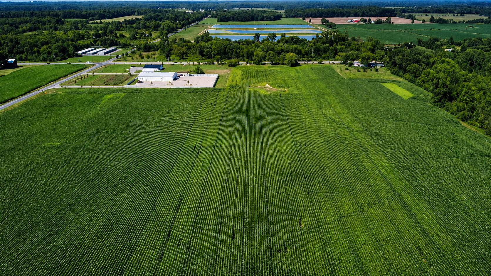 7200 B W US Highway 12, Schwark Road