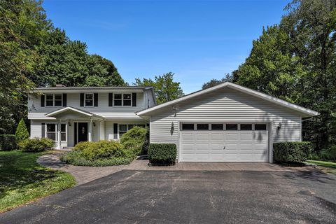 Photo of 10425 E Q Avenue, Scotts, MI 49088 (MLS # 25041920)