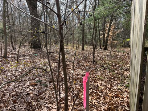 Photo of V/L Nielsen Road, Muskegon, MI 49445 (MLS # 26016822)