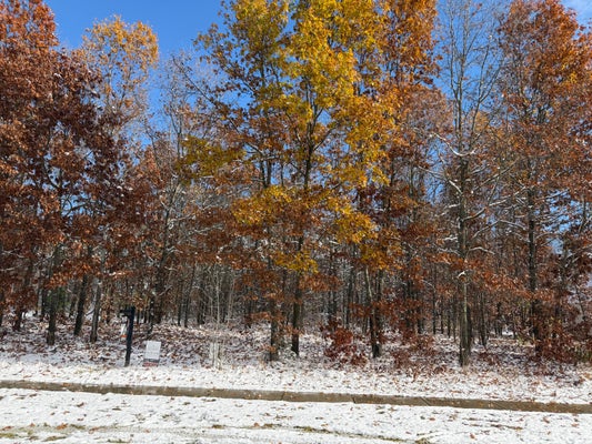 1395 HAVEN WAY, KALAMAZOO, MI 49009 - Image fa2e04ca5c82447175f0fac057cb3797/1852498134