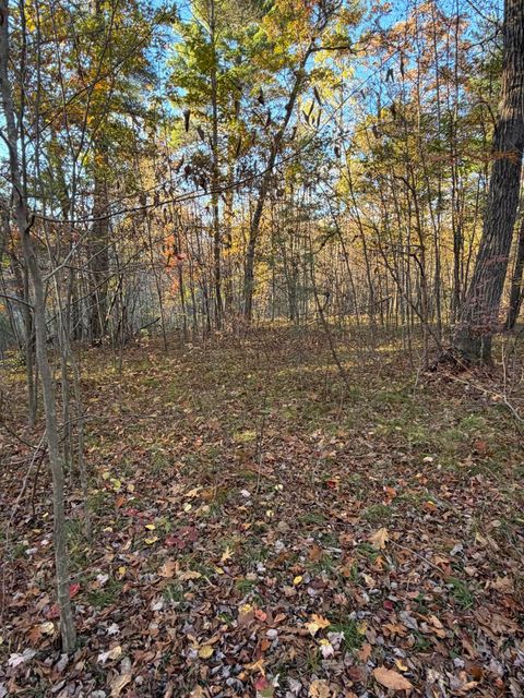 Photo of V/L Maple Hill Road #Parcel D, Howard City, MI 49329 (MLS # 25060231)