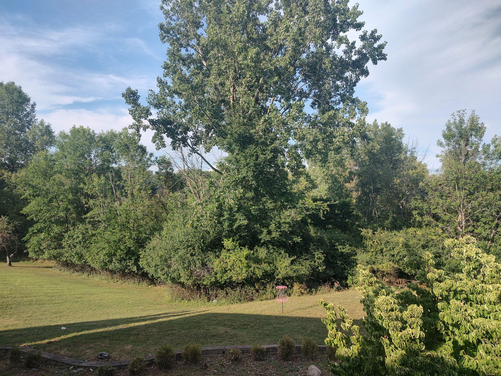 3541 Ridgeview Court