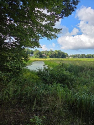 6695 S BROOKS RD, FRUITPORT, MI 49415 - Image fadecf6e82e48a55cc118f84b14fbd7e/2496693355
