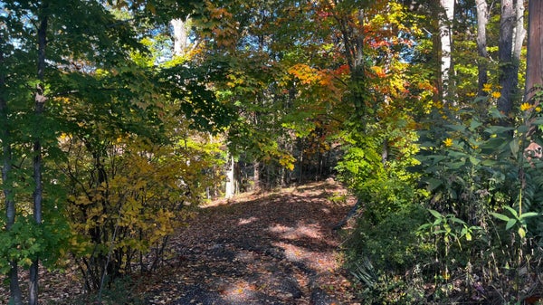 6695 S BROOKS RD, FRUITPORT, MI 49415 - Image fadecf6e82e48a55cc118f84b14fbd7e/935504291