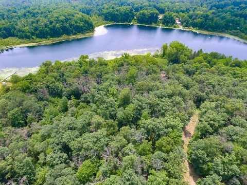 Photo of 0 E 56th Street, Newaygo, MI 49337 (MLS # 26011682)