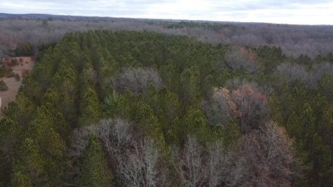 Photo of VL Highbridge Rd, Brethren, MI 49619 (MLS # 25059769)