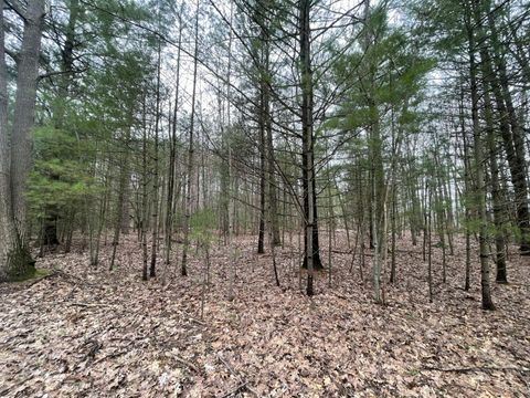 Photo of N Schoenherr Road, Free Soil, MI 49411 (MLS # 26029798)