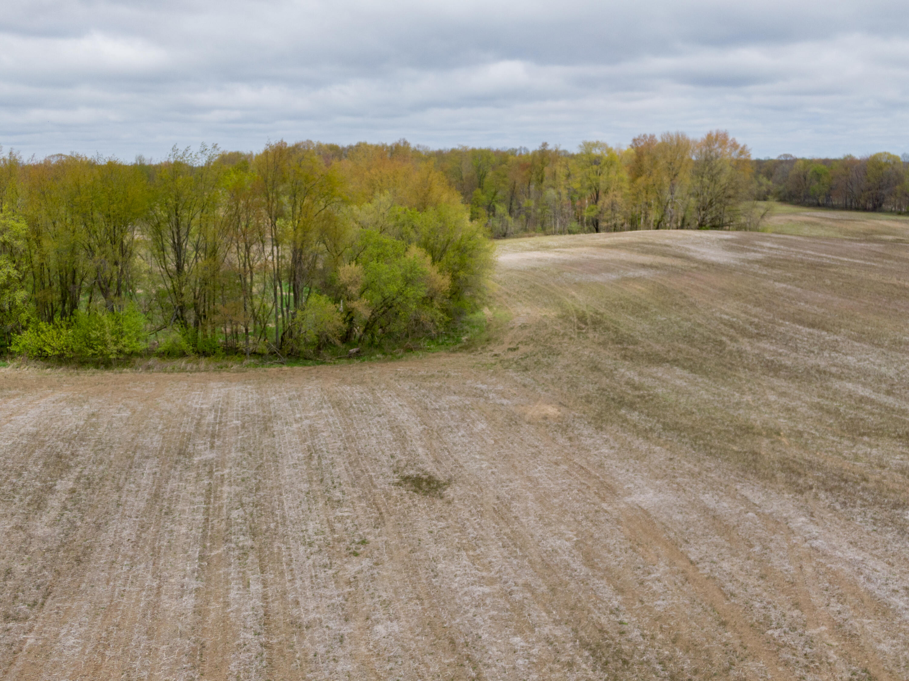 Photo 19 of 20 of 8688 W X Avenue land