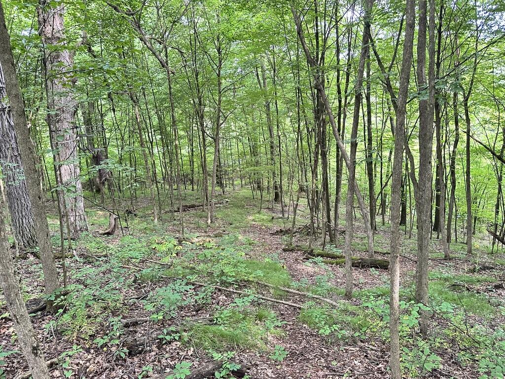 Richland, Michigan 49083, United States, 5 Bedrooms Bedrooms, ,4 BathroomsBathrooms,Residential,Active,181530