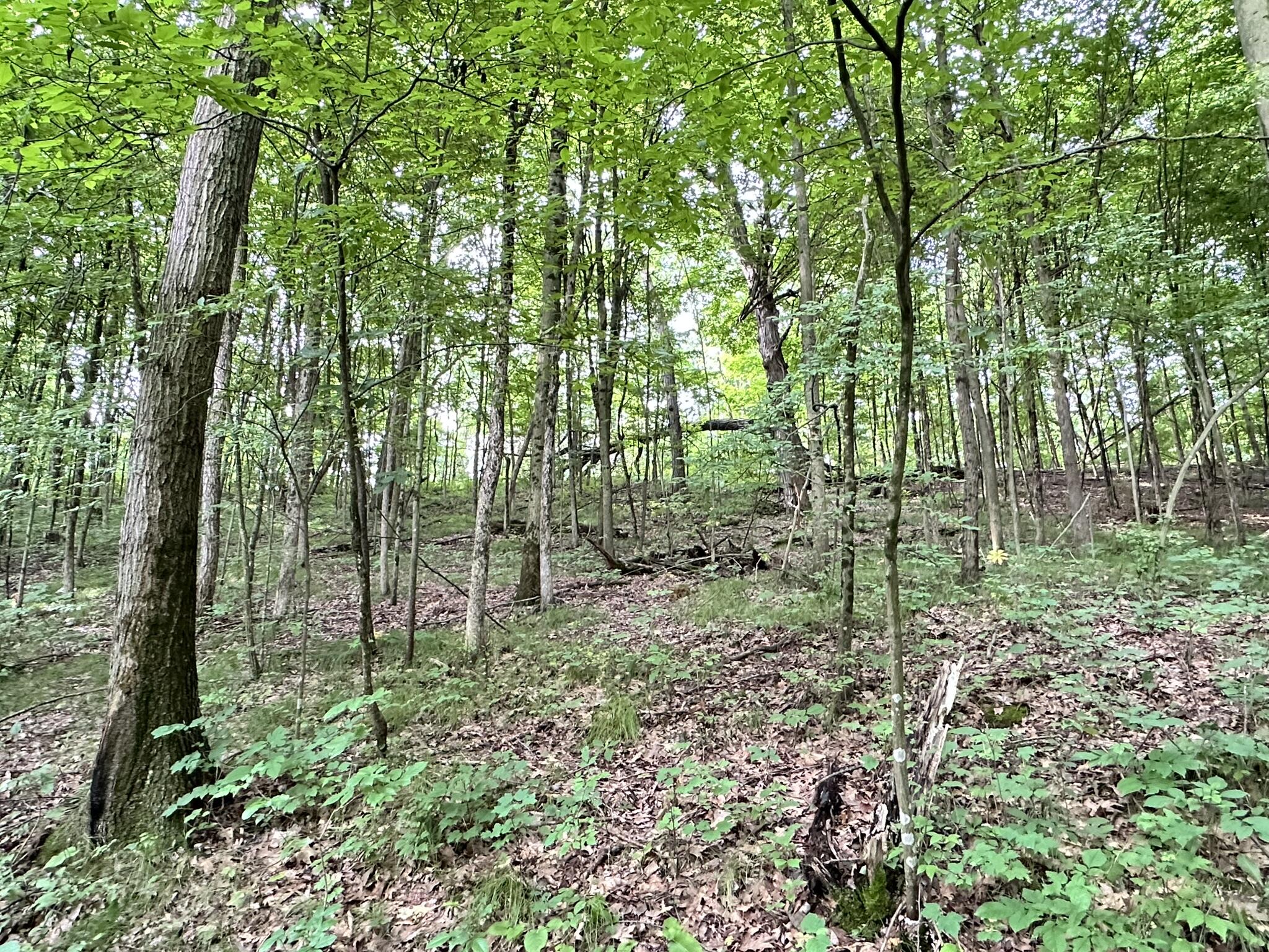 Richland, Michigan 49083, United States, 5 Bedrooms Bedrooms, ,4 BathroomsBathrooms,Residential,Active,181530