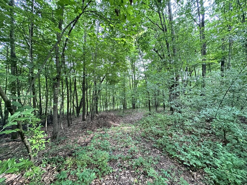 Richland, Michigan 49083, United States, 5 Bedrooms Bedrooms, ,4 BathroomsBathrooms,Residential,Active,181530