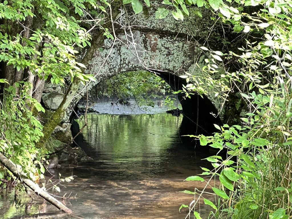 Richland, Michigan 49083, United States, 5 Bedrooms Bedrooms, ,4 BathroomsBathrooms,Residential,Active,181530