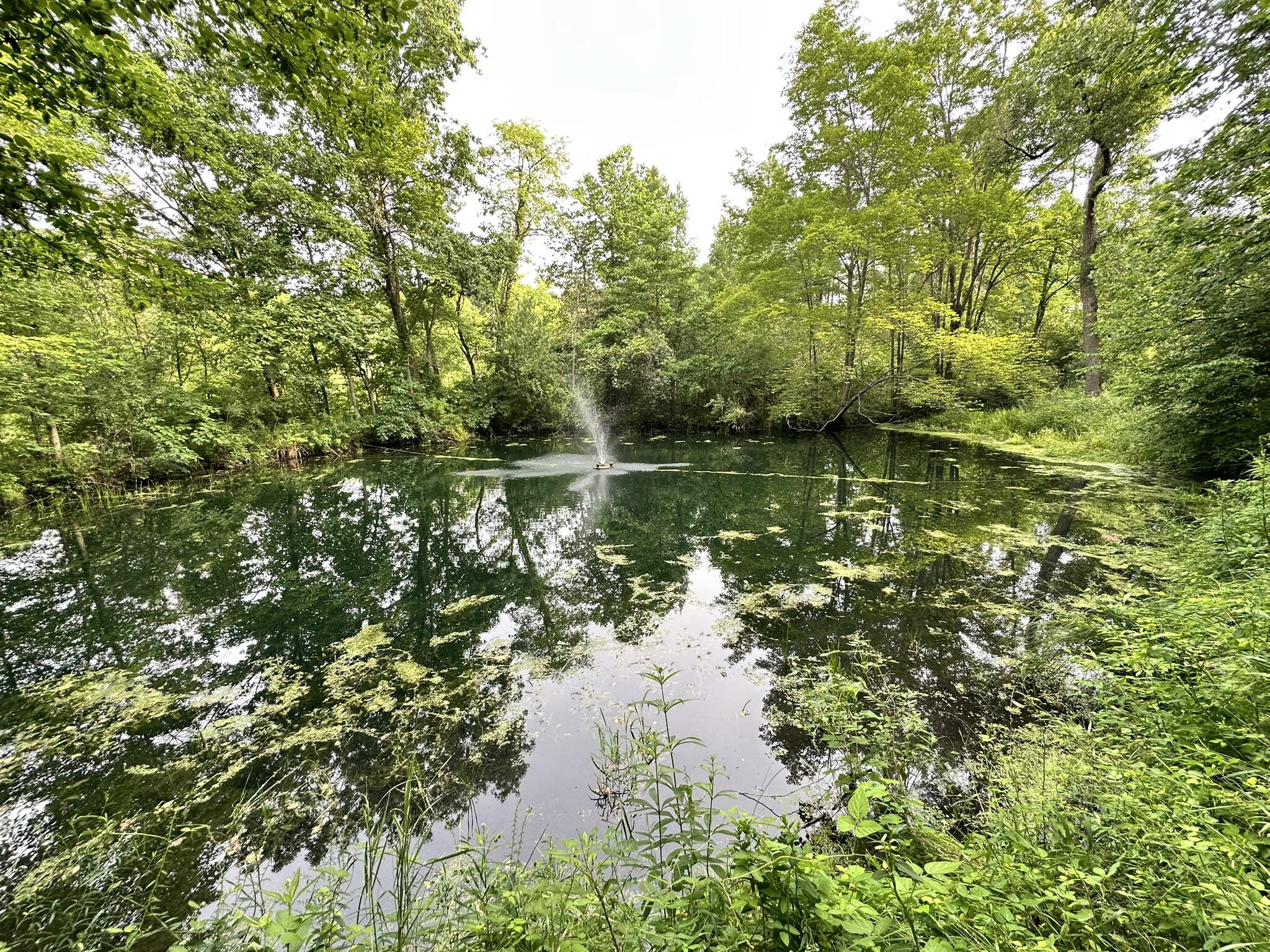 Richland, Michigan 49083, United States, 5 Bedrooms Bedrooms, ,4 BathroomsBathrooms,Residential,Active,181530