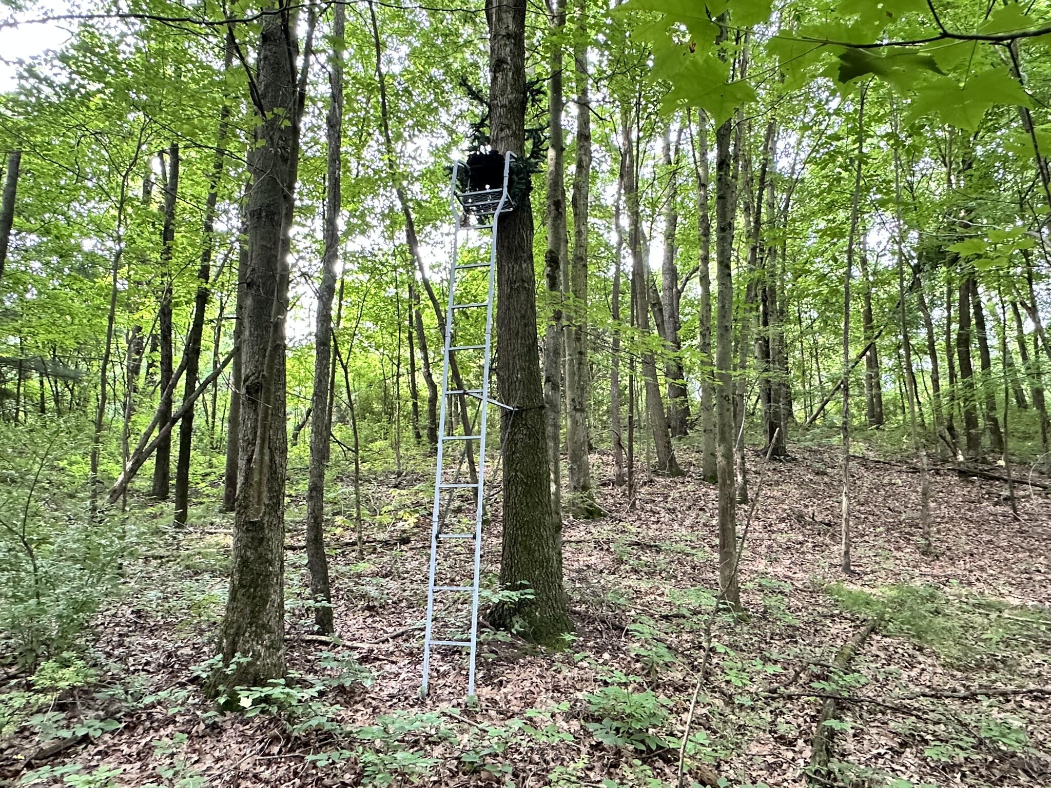 Richland, Michigan 49083, United States, 5 Bedrooms Bedrooms, ,4 BathroomsBathrooms,Residential,Active,181530