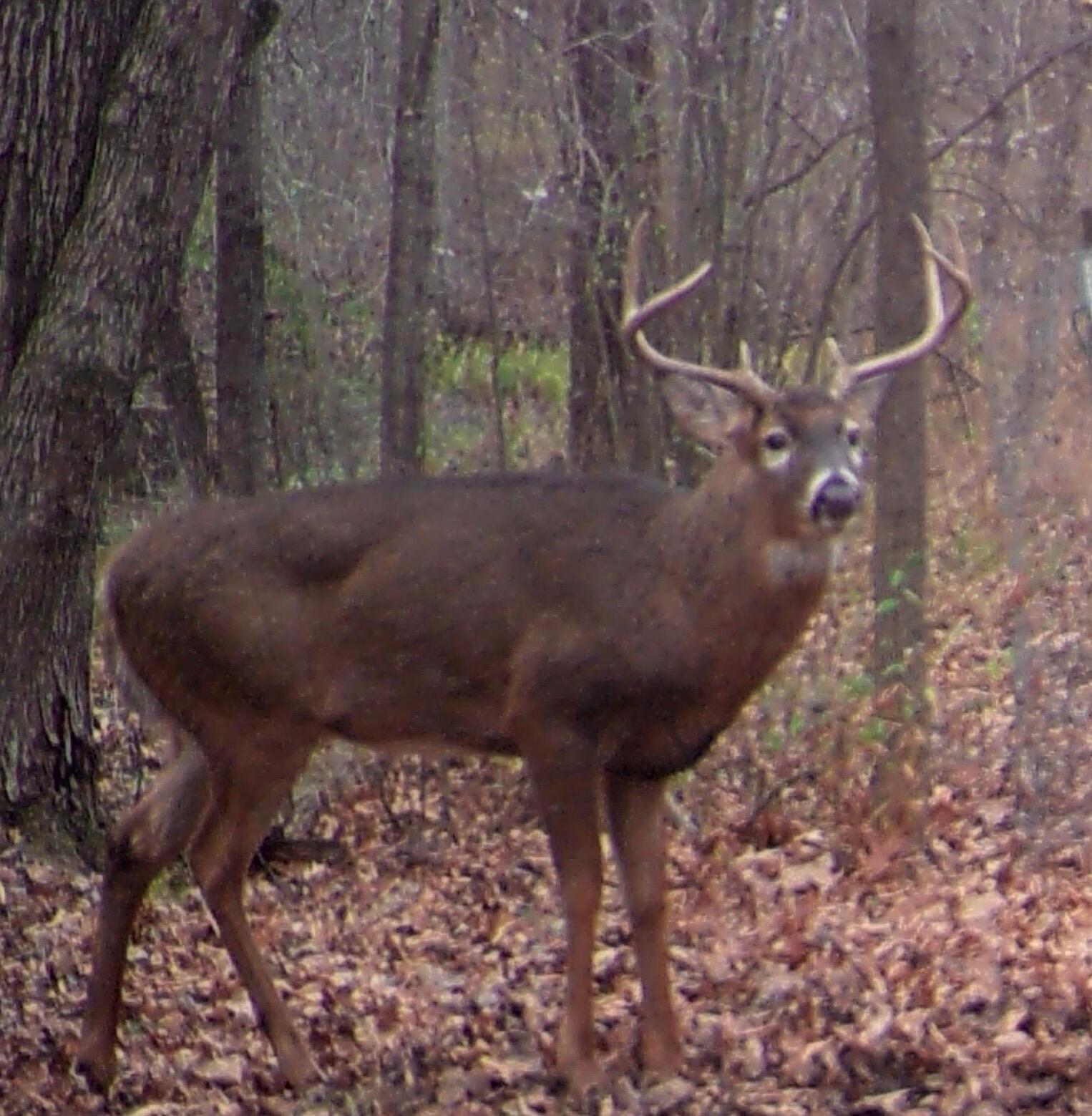 Richland, Michigan 49083, United States, 5 Bedrooms Bedrooms, ,4 BathroomsBathrooms,Residential,Active,181530