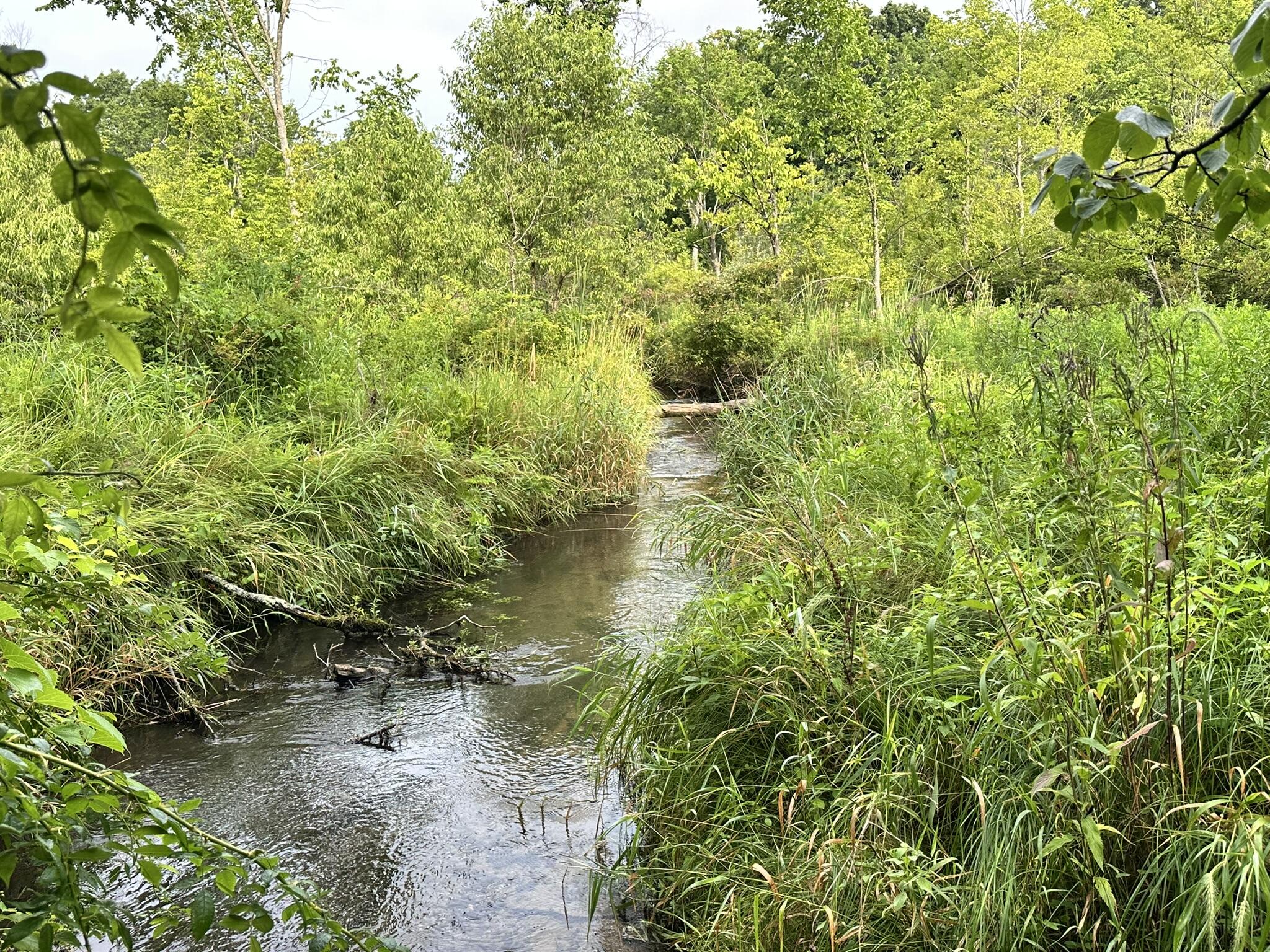 Richland, Michigan 49083, United States, 5 Bedrooms Bedrooms, ,4 BathroomsBathrooms,Residential,Active,181530