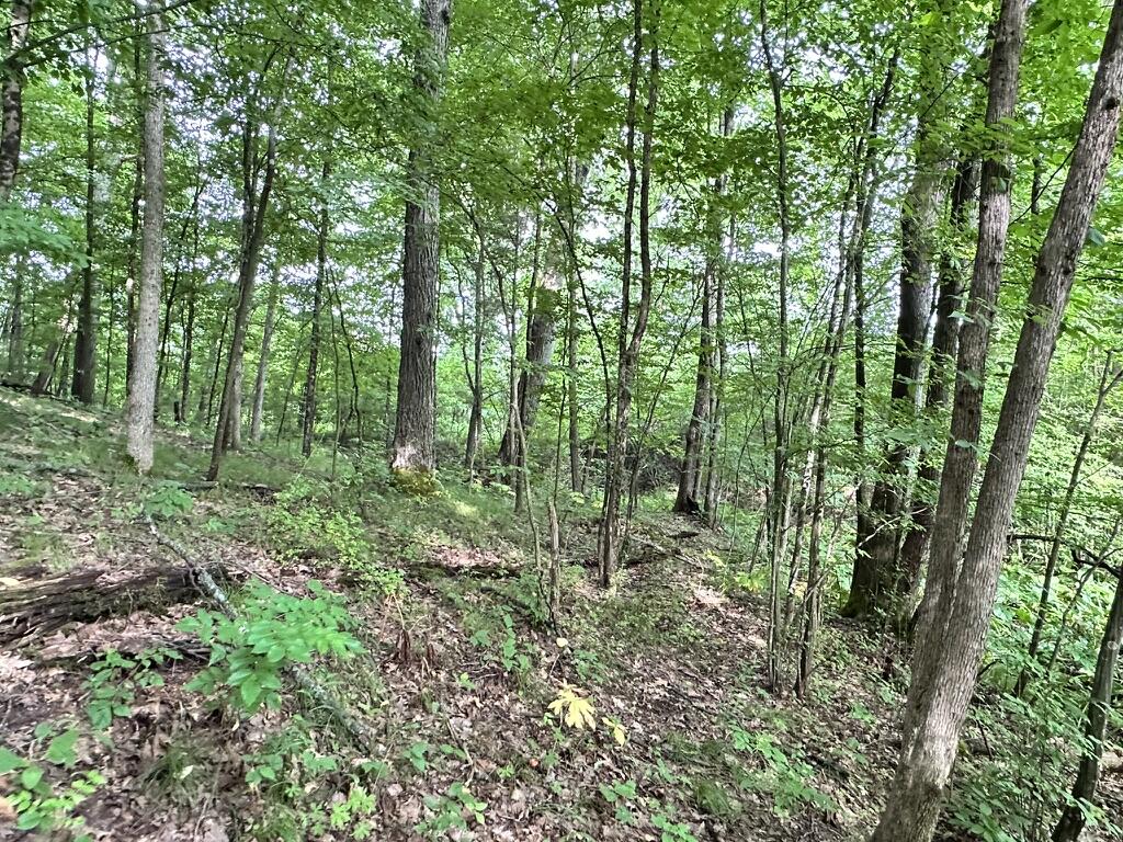 Richland, Michigan 49083, United States, 5 Bedrooms Bedrooms, ,4 BathroomsBathrooms,Residential,Active,181530