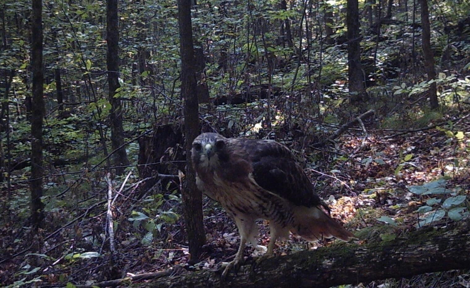 Richland, Michigan 49083, United States, 5 Bedrooms Bedrooms, ,4 BathroomsBathrooms,Residential,Active,181530