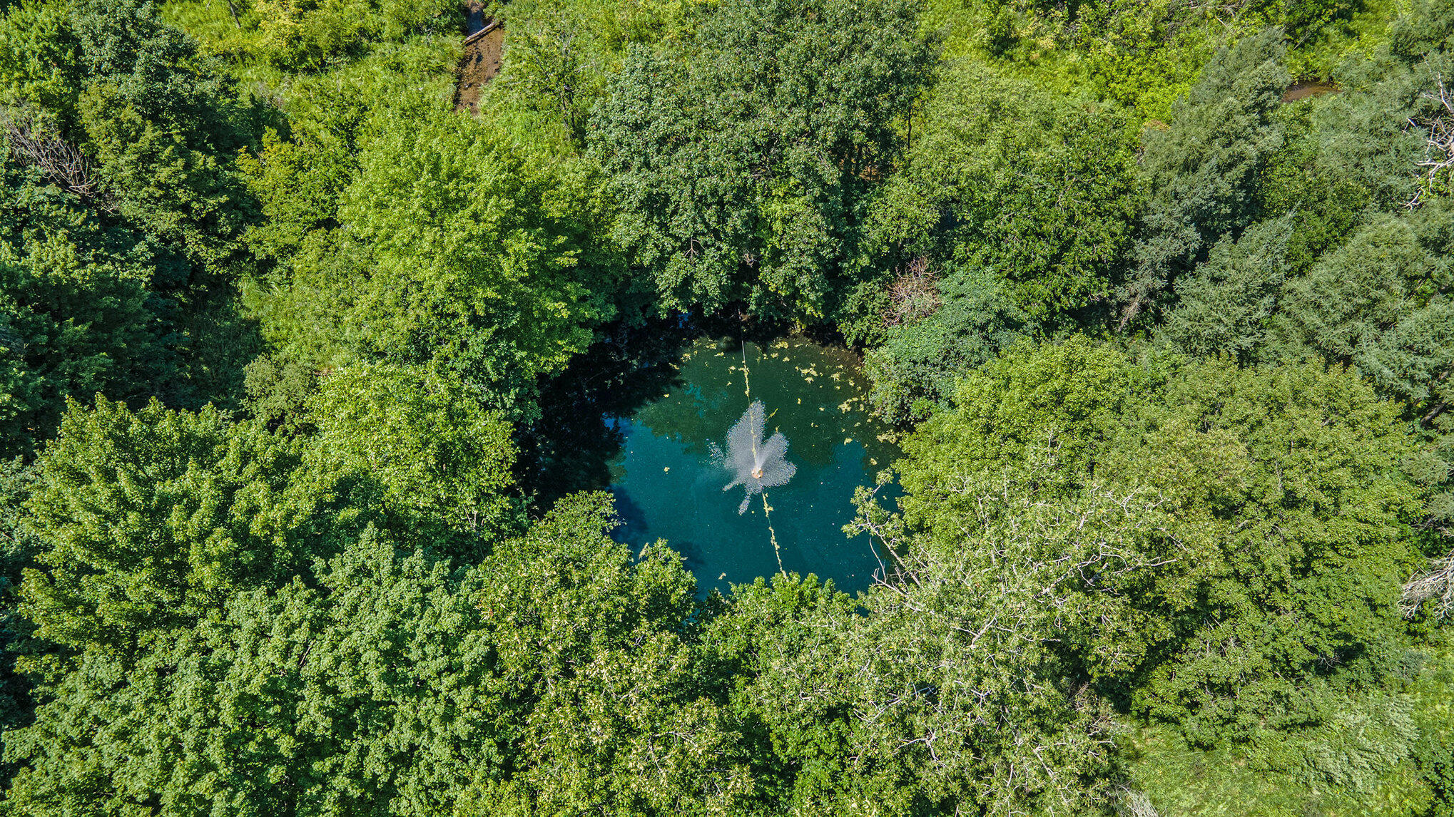 Richland, Michigan 49083, United States, 5 Bedrooms Bedrooms, ,4 BathroomsBathrooms,Residential,Active,181530