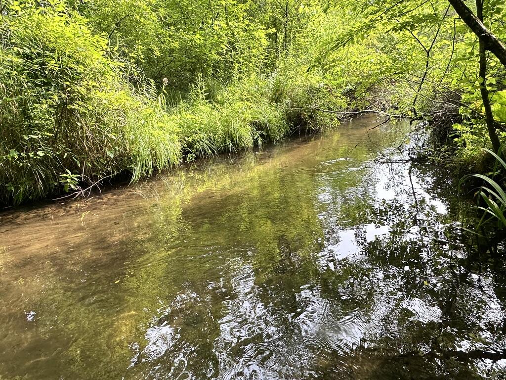 Richland, Michigan 49083, United States, 5 Bedrooms Bedrooms, ,4 BathroomsBathrooms,Residential,Active,181530