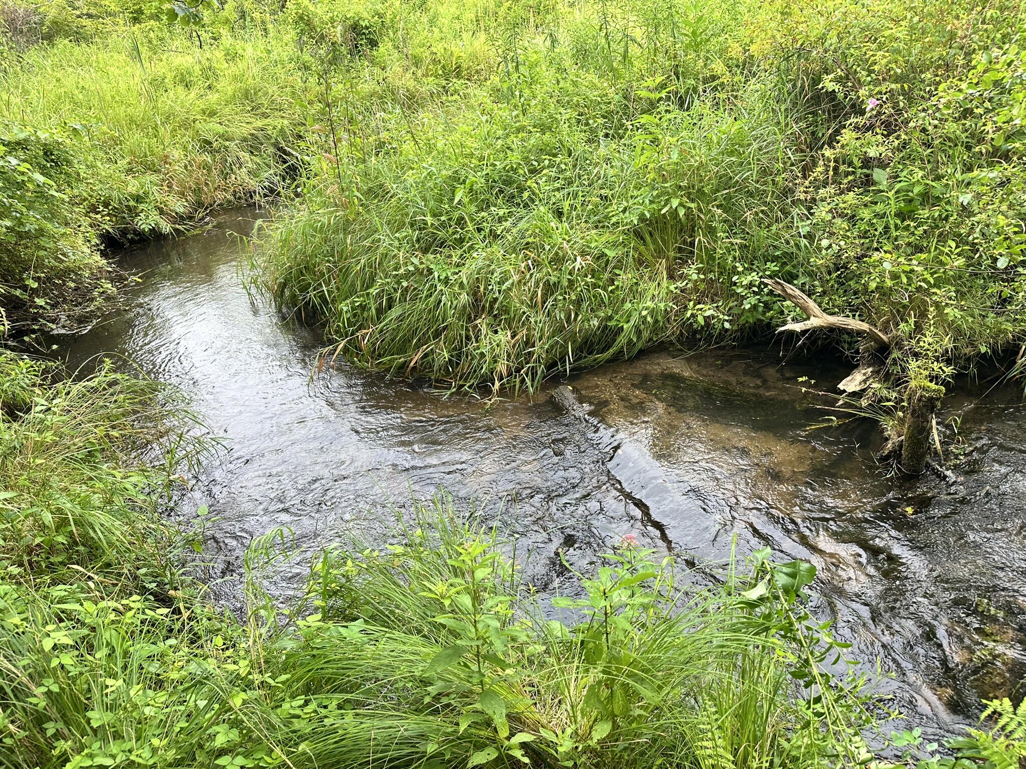 Richland, Michigan 49083, United States, 5 Bedrooms Bedrooms, ,4 BathroomsBathrooms,Residential,Active,181530