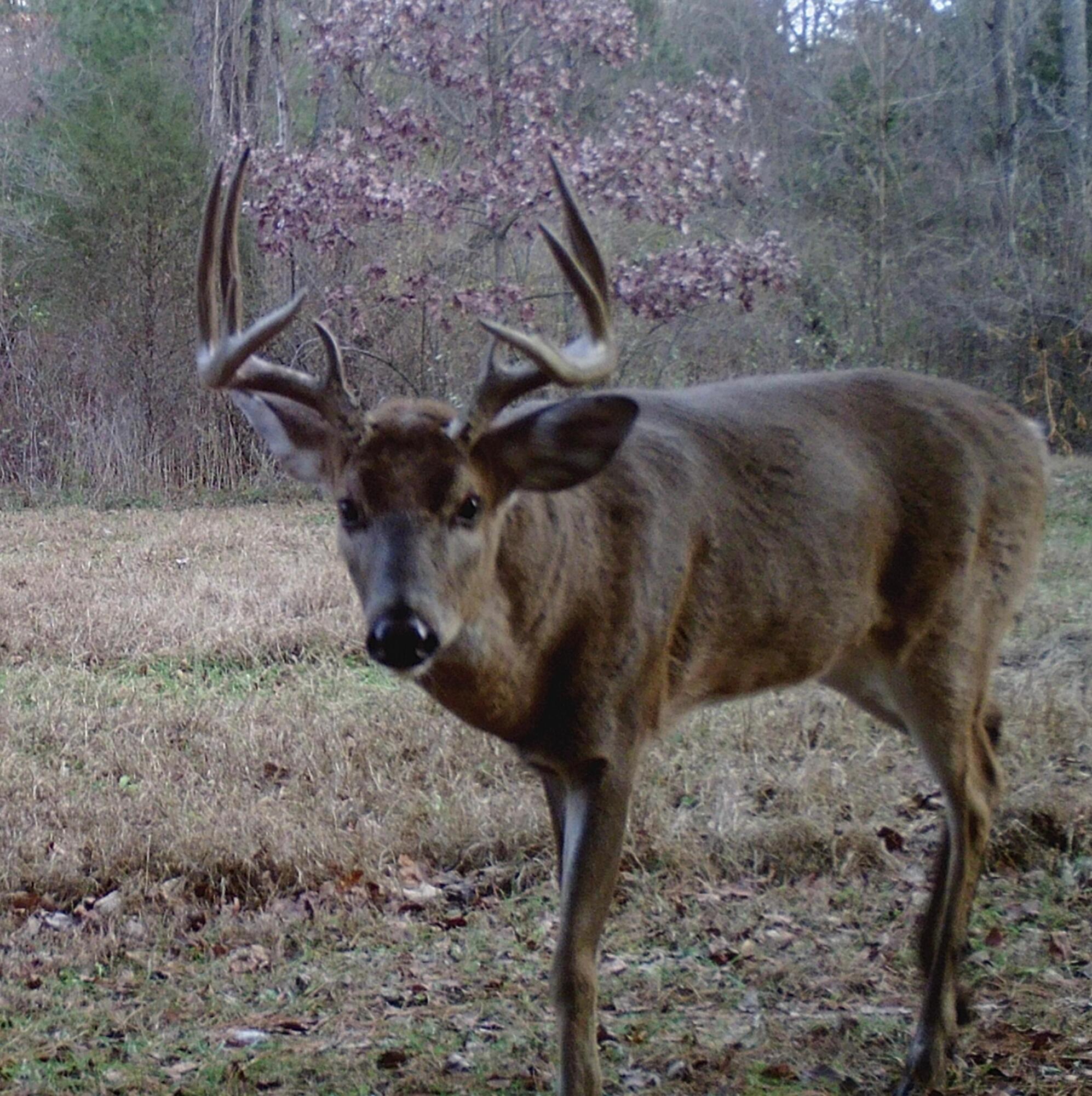 Richland, Michigan 49083, United States, 5 Bedrooms Bedrooms, ,4 BathroomsBathrooms,Residential,Active,181530