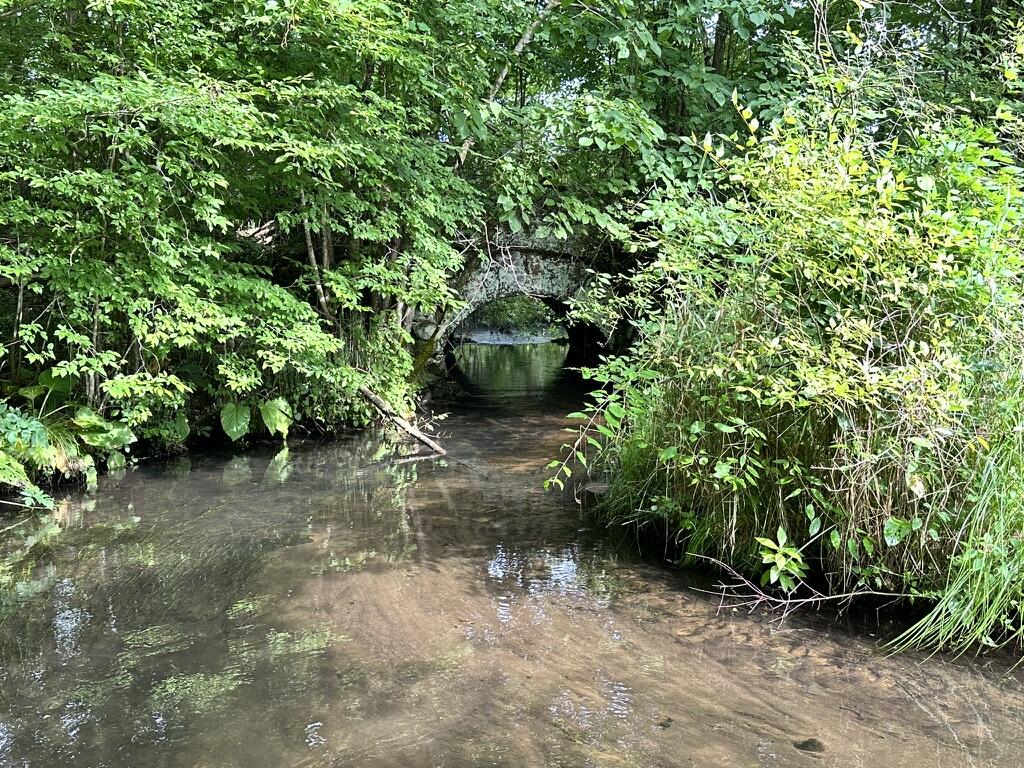 Richland, Michigan 49083, United States, 5 Bedrooms Bedrooms, ,4 BathroomsBathrooms,Residential,Active,181530