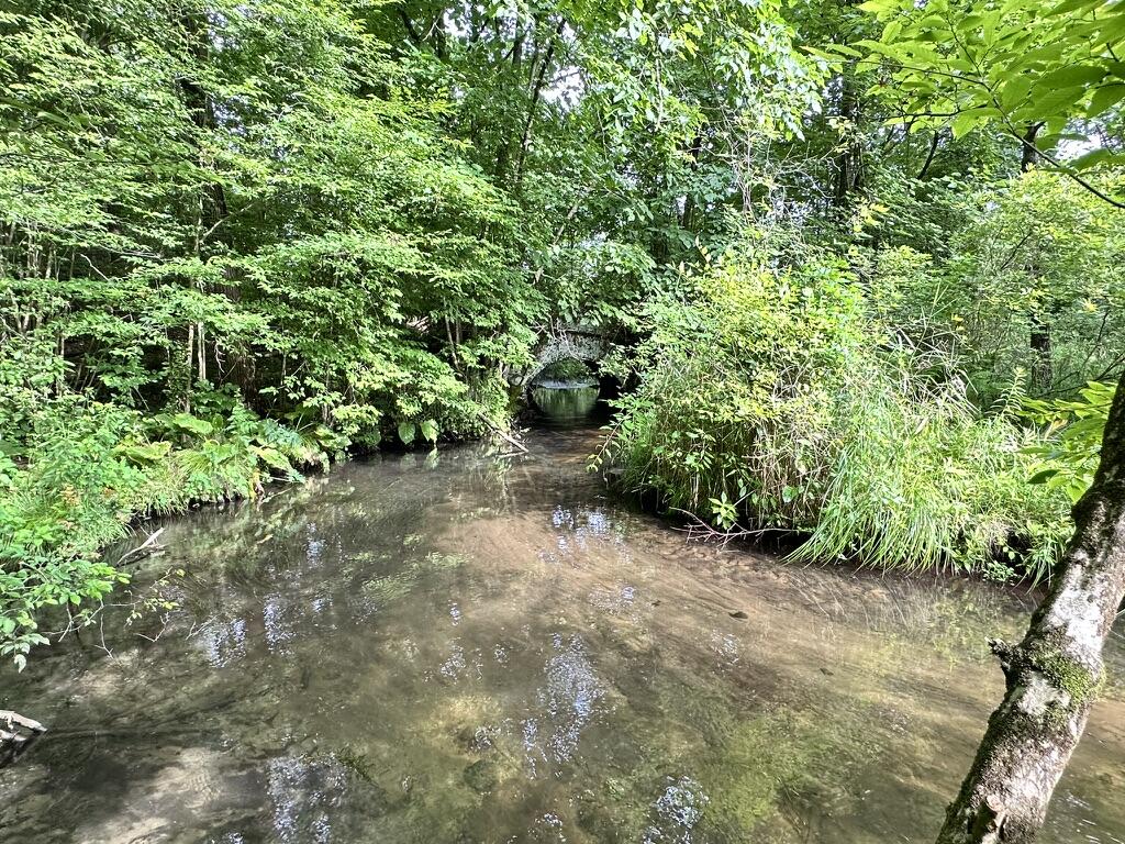 Richland, Michigan 49083, United States, 5 Bedrooms Bedrooms, ,4 BathroomsBathrooms,Residential,Active,181530