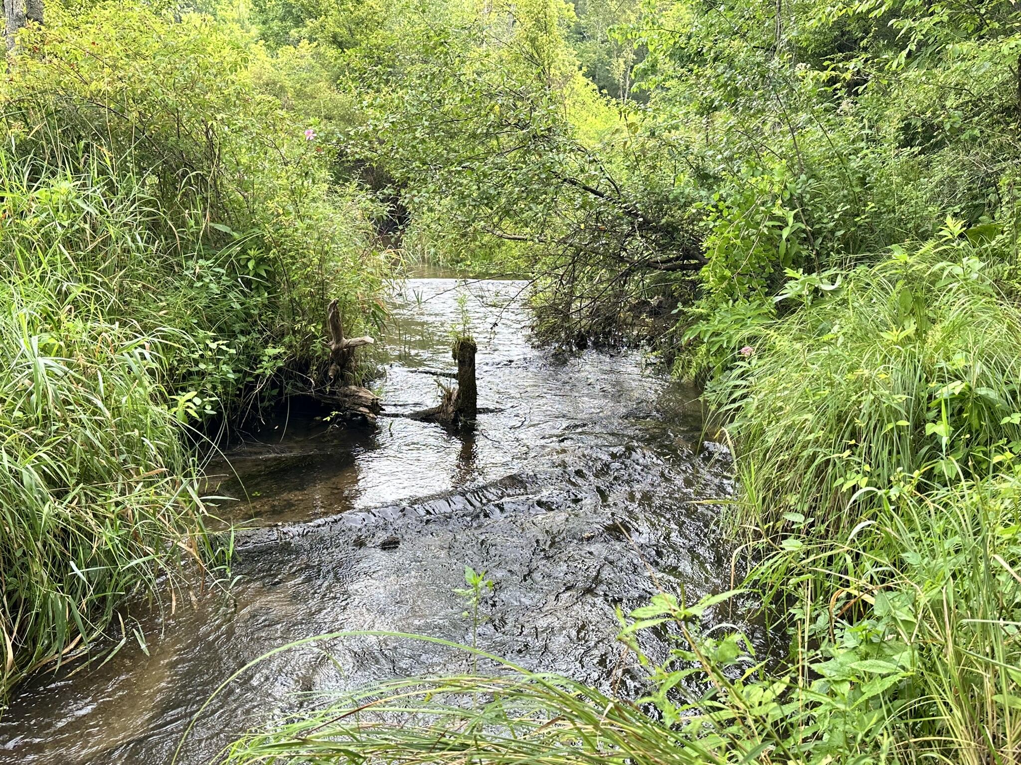 Richland, Michigan 49083, United States, 5 Bedrooms Bedrooms, ,4 BathroomsBathrooms,Residential,Active,181530