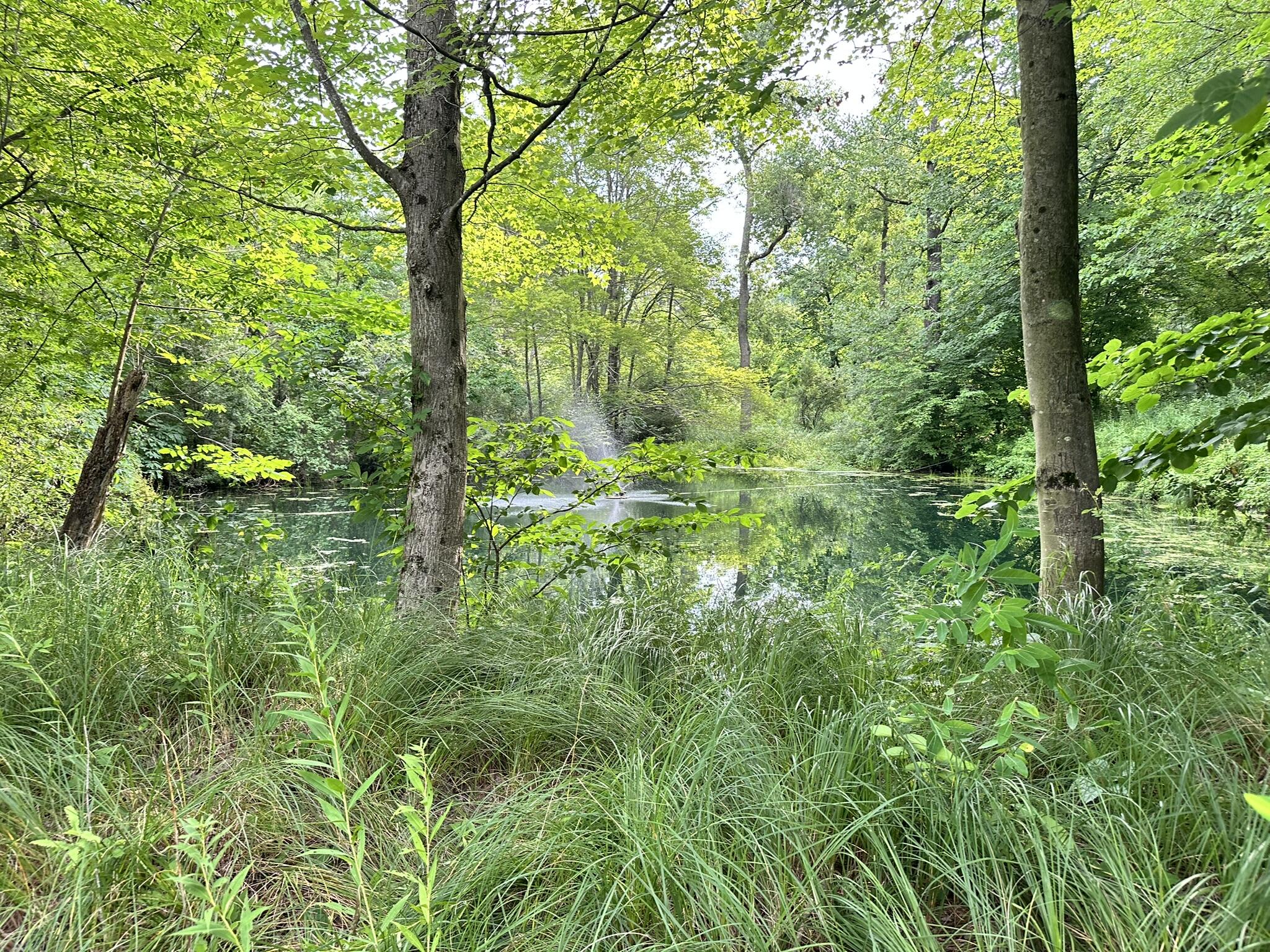 Richland, Michigan 49083, United States, 5 Bedrooms Bedrooms, ,4 BathroomsBathrooms,Residential,Active,181530