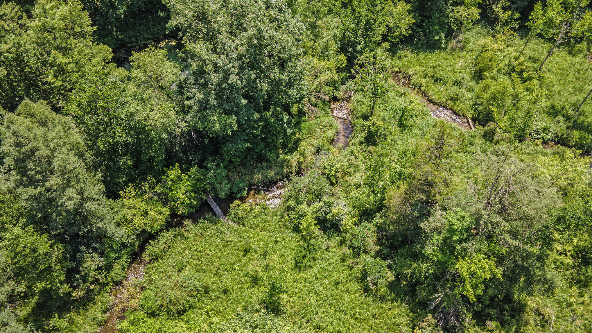 Richland, Michigan 49083, United States, 5 Bedrooms Bedrooms, ,4 BathroomsBathrooms,Residential,Active,181530