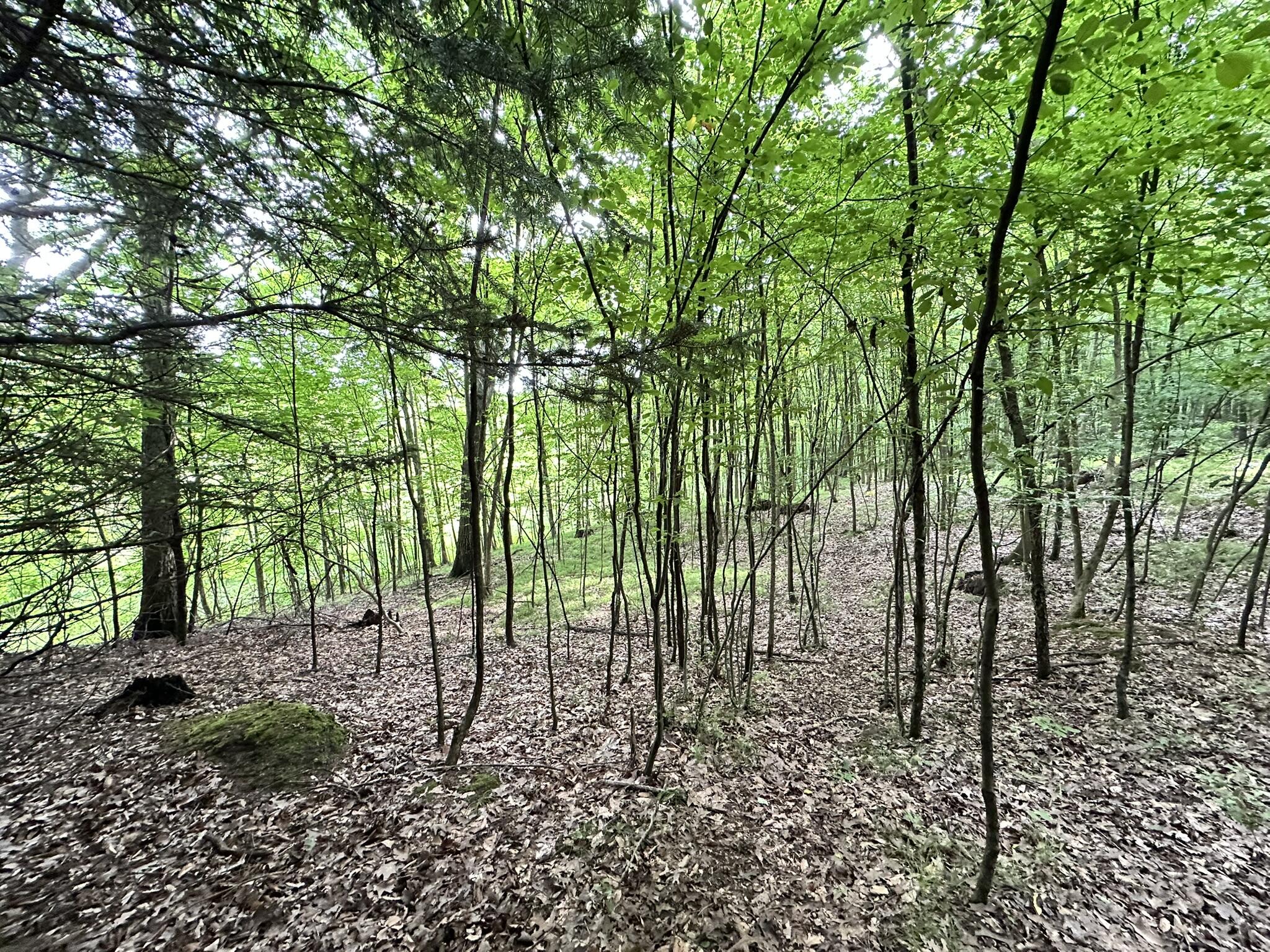 Richland, Michigan 49083, United States, 5 Bedrooms Bedrooms, ,4 BathroomsBathrooms,Residential,Active,181530