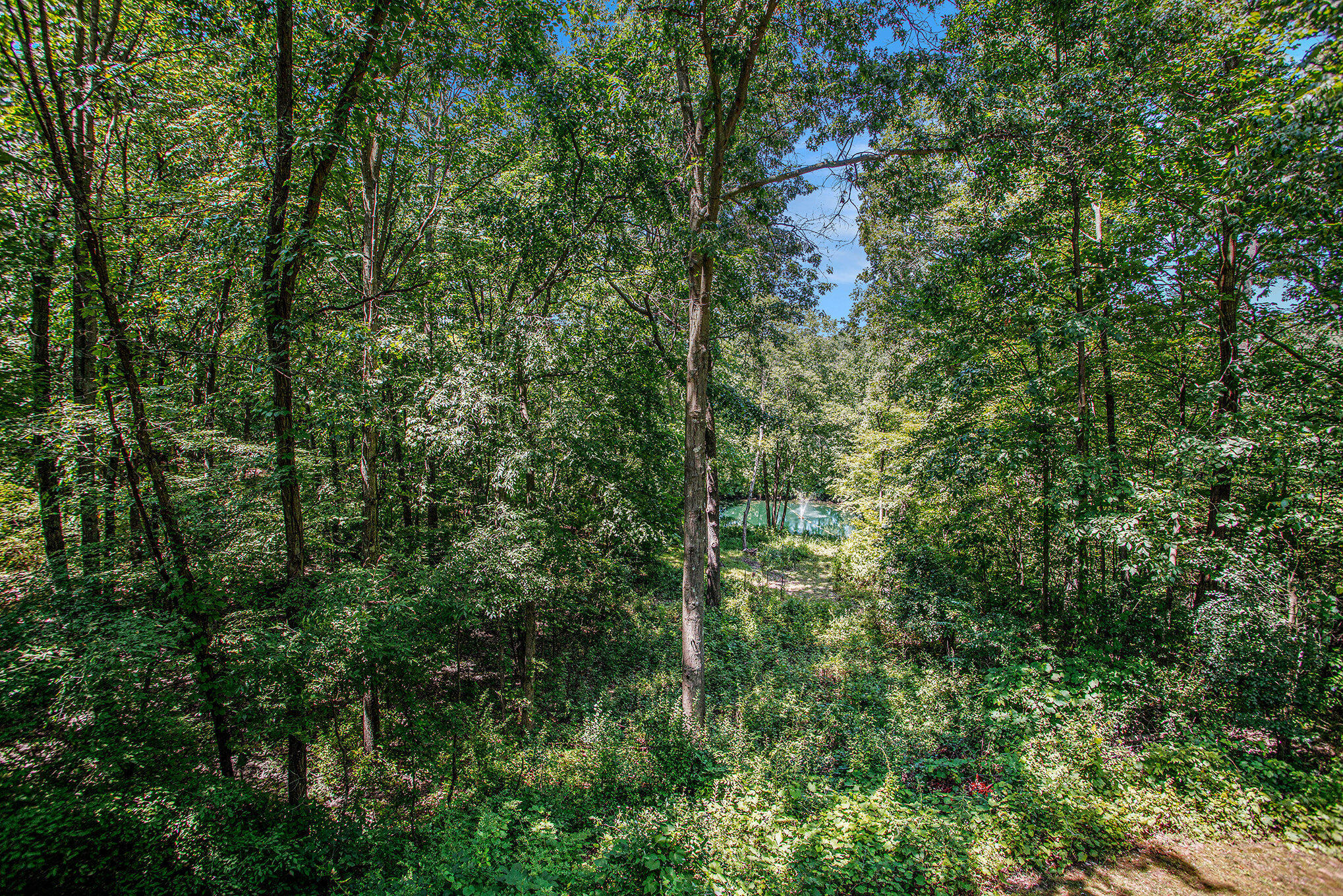 Richland, Michigan 49083, United States, 5 Bedrooms Bedrooms, ,4 BathroomsBathrooms,Residential,Active,181530