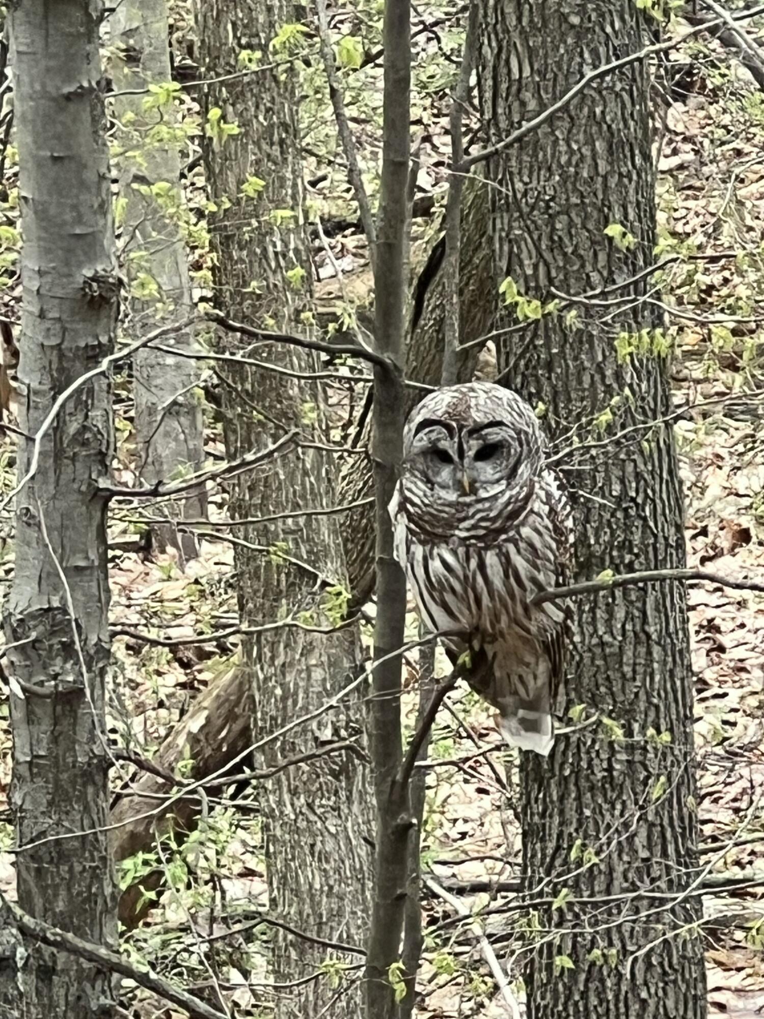 Richland, Michigan 49083, United States, 5 Bedrooms Bedrooms, ,4 BathroomsBathrooms,Residential,Active,181530