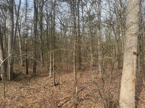 Photo for 0 E Meinert Road