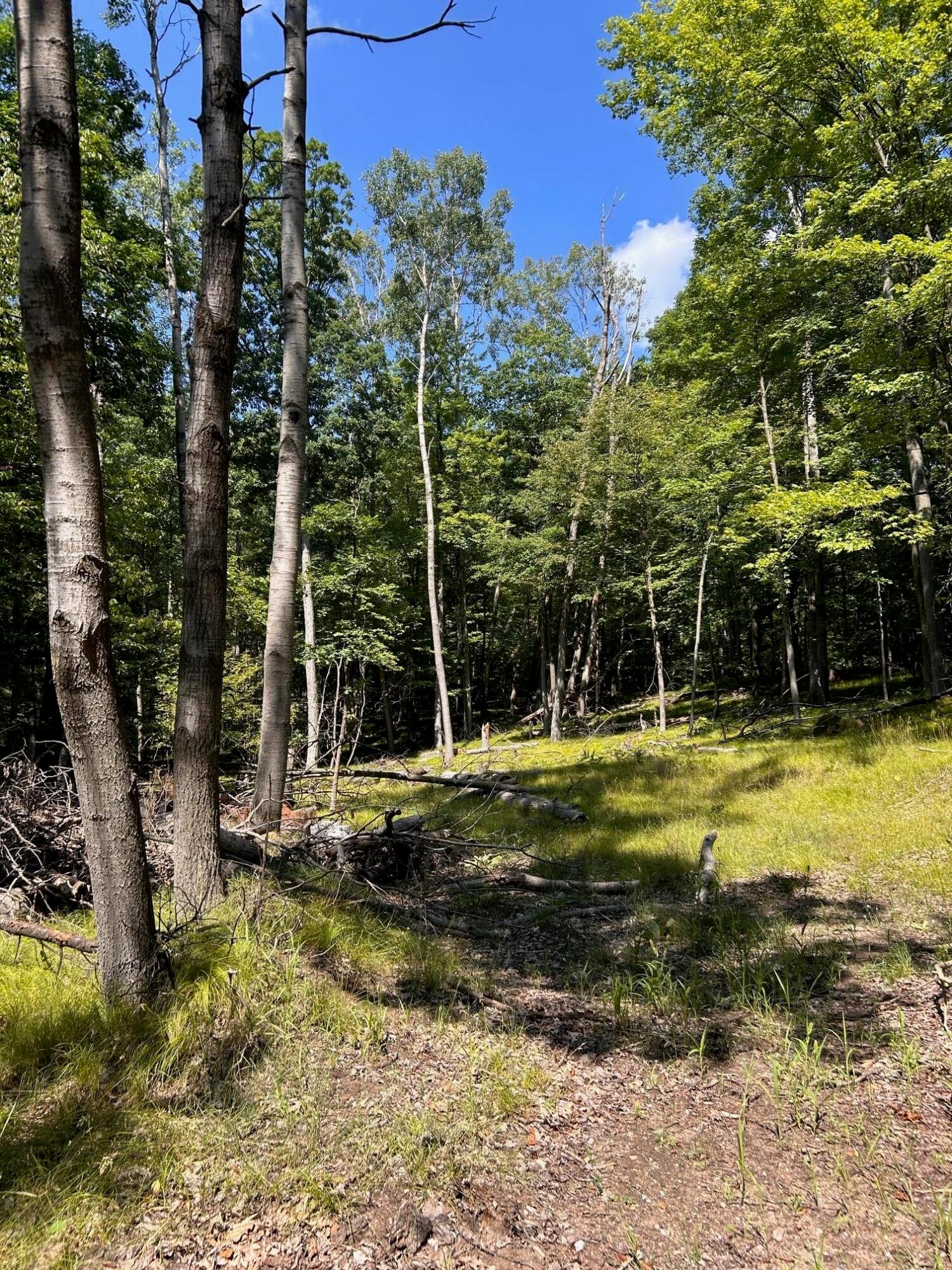 11992 Cheyenne Wells Trail