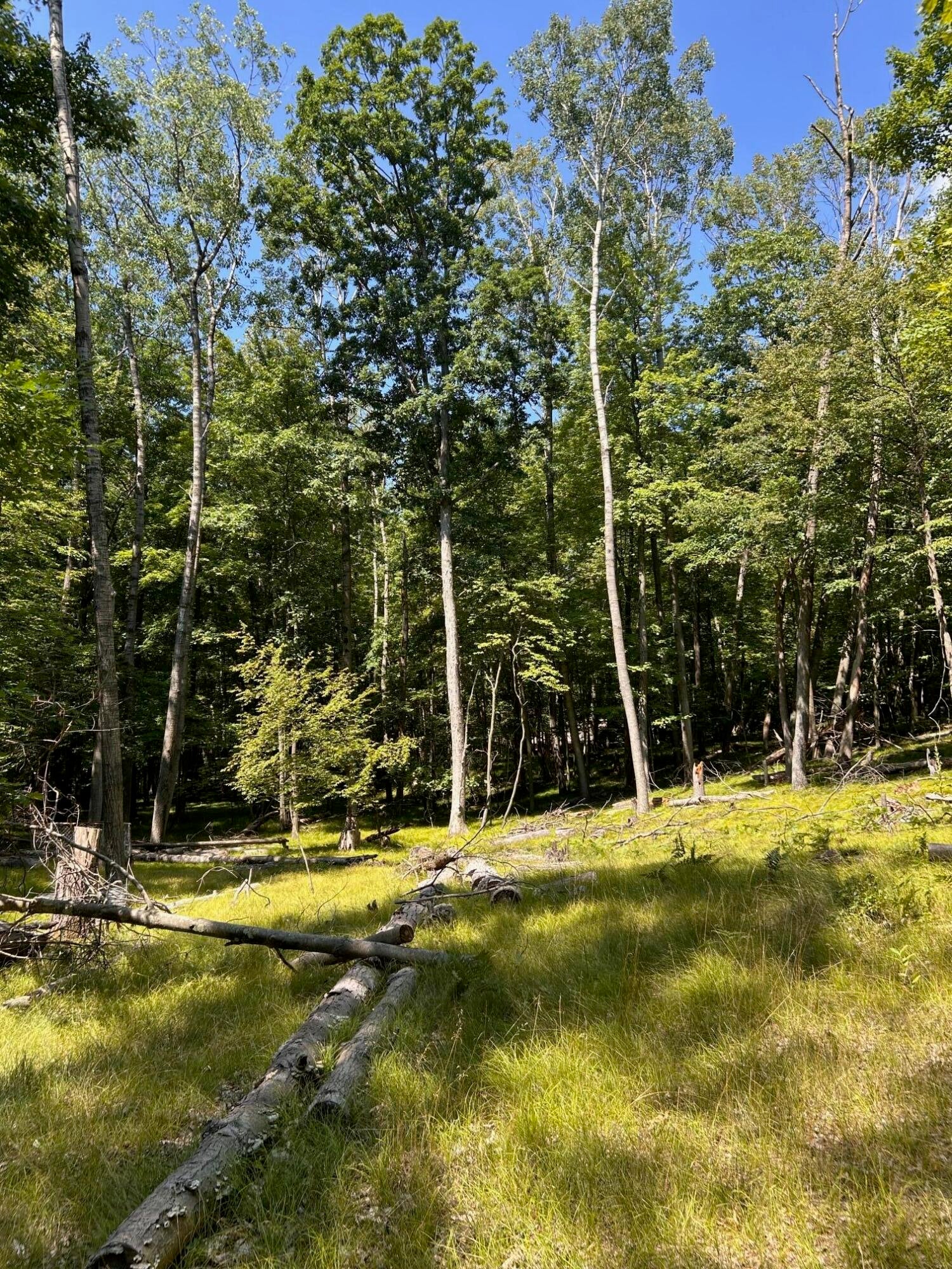 11992 Cheyenne Wells Trail