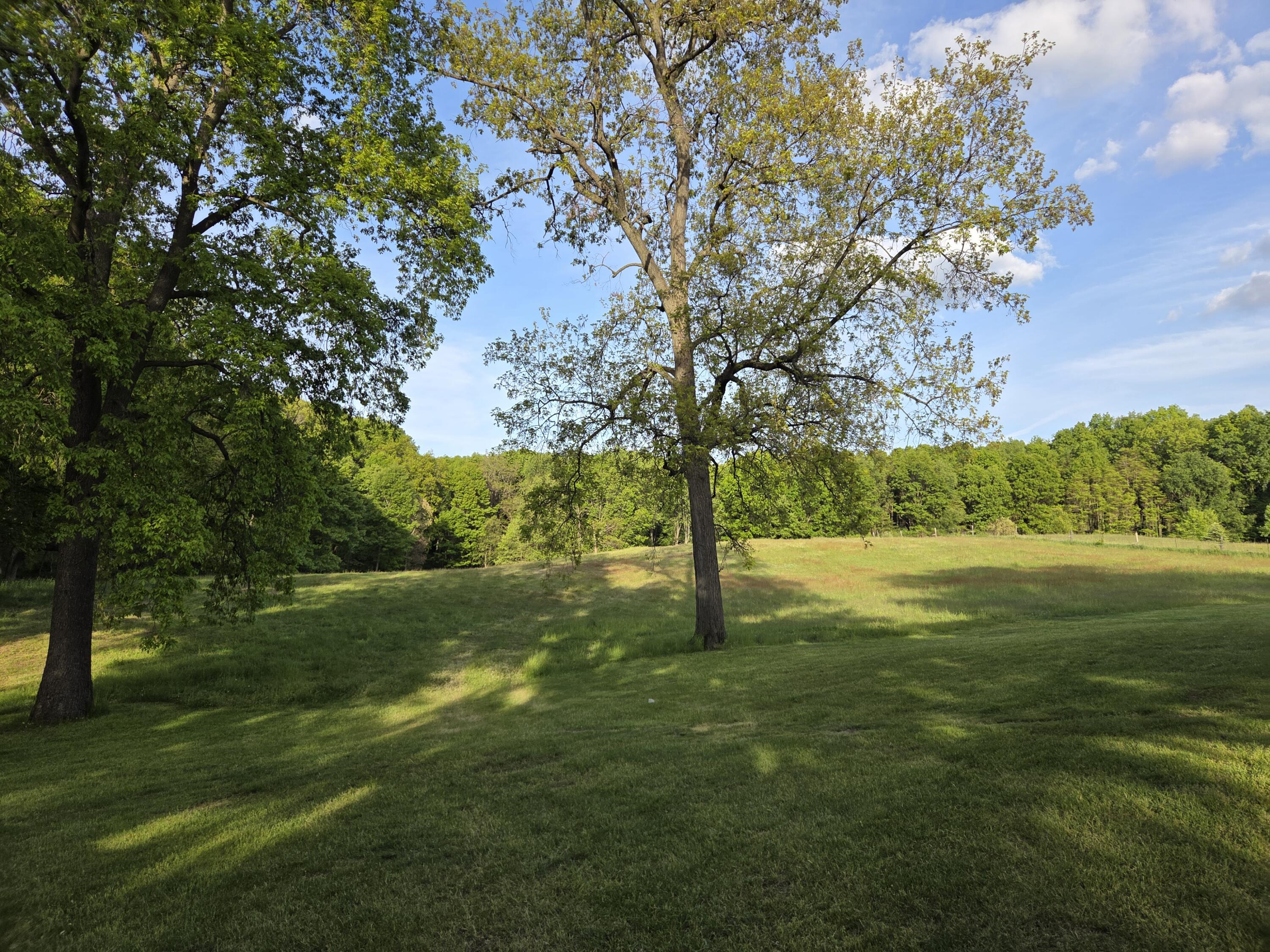 Kalamazoo, Michigan 49008, United States, 4 Bedrooms Bedrooms, ,4 BathroomsBathrooms,Residential,Active,138019